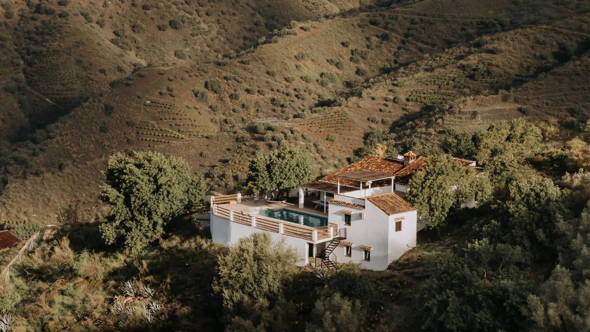 Casa Olivia contacts